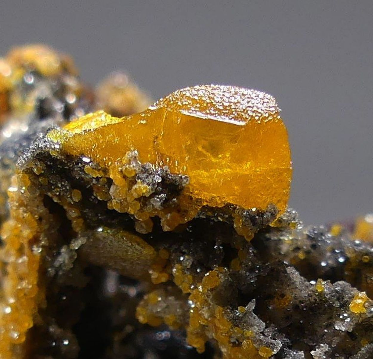 Willemite Psm Descloizite With Wulfenite