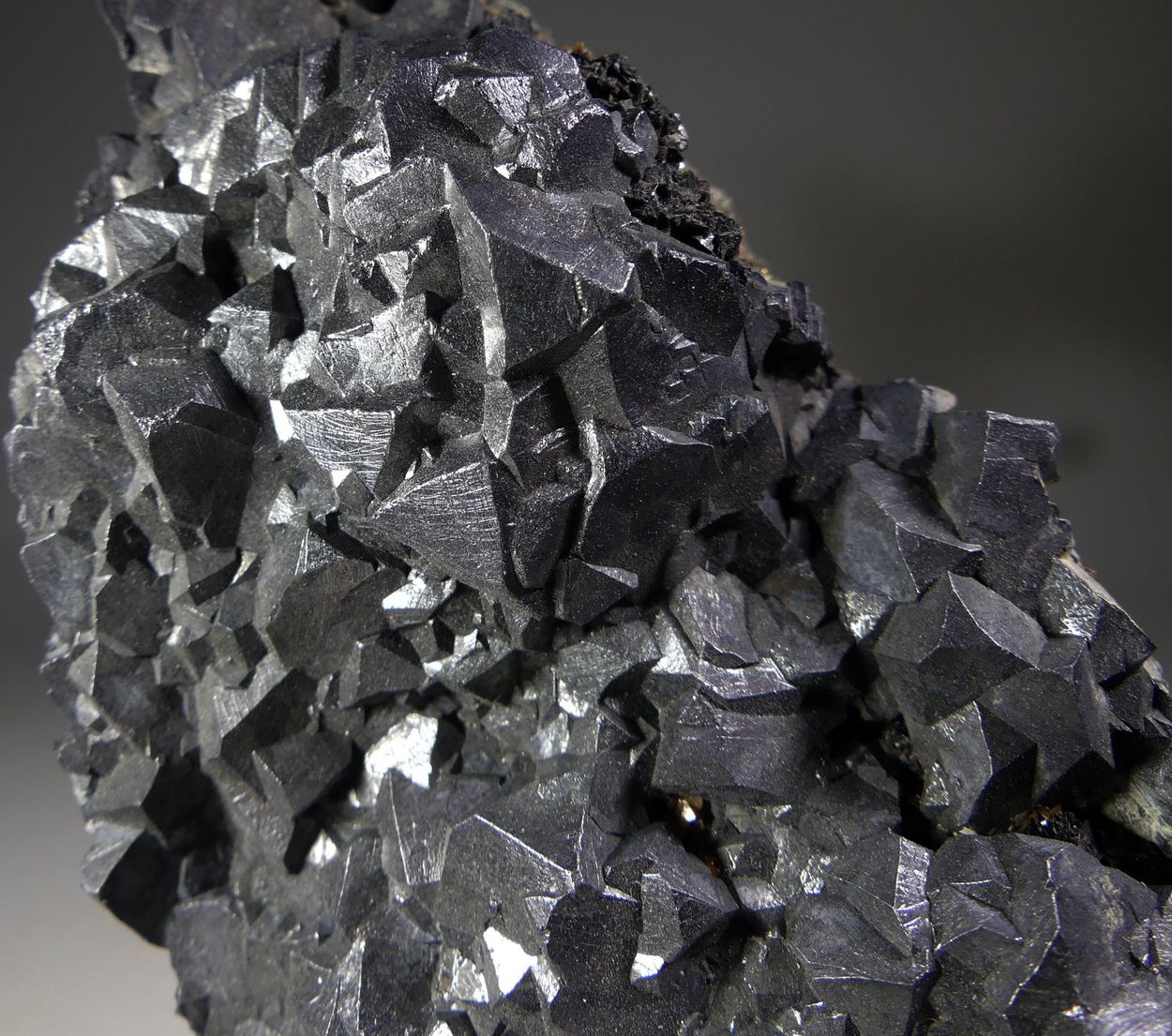 Galena On Chalcopyrite