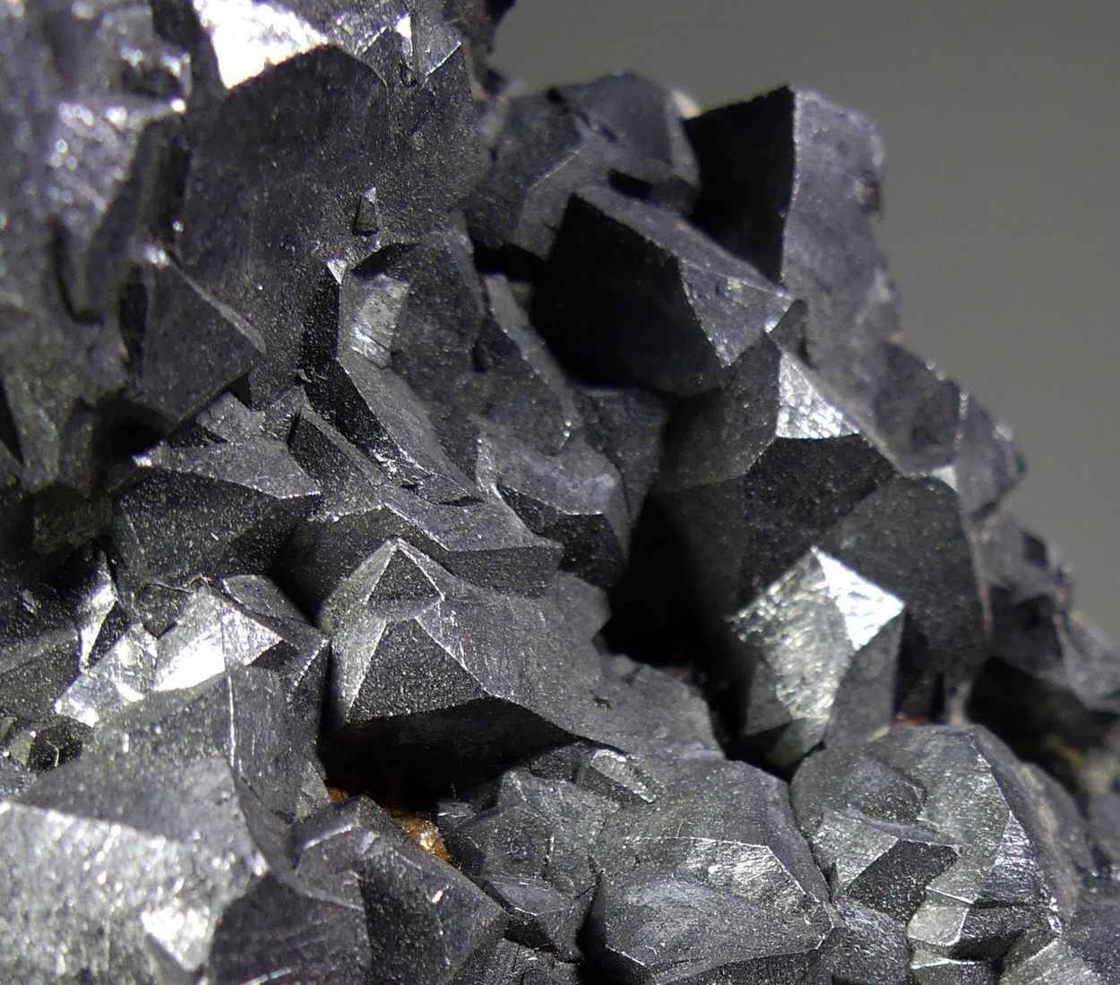 Galena On Chalcopyrite