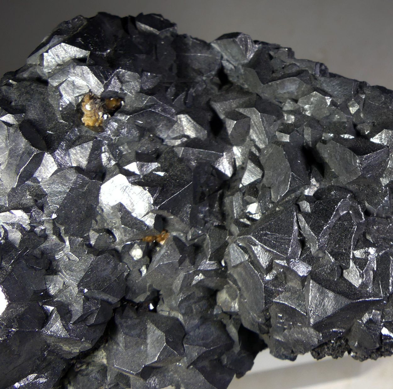 Galena On Chalcopyrite