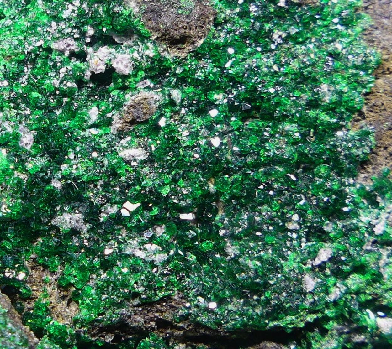 Uvarovite