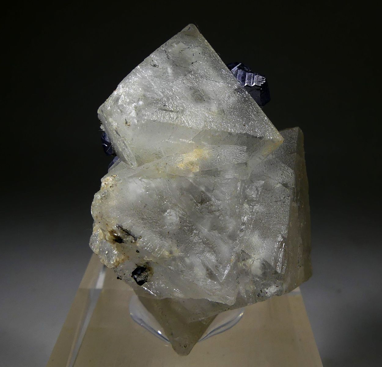 Fluorite & Galena