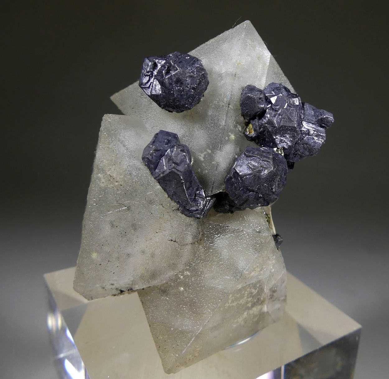 Fluorite & Galena