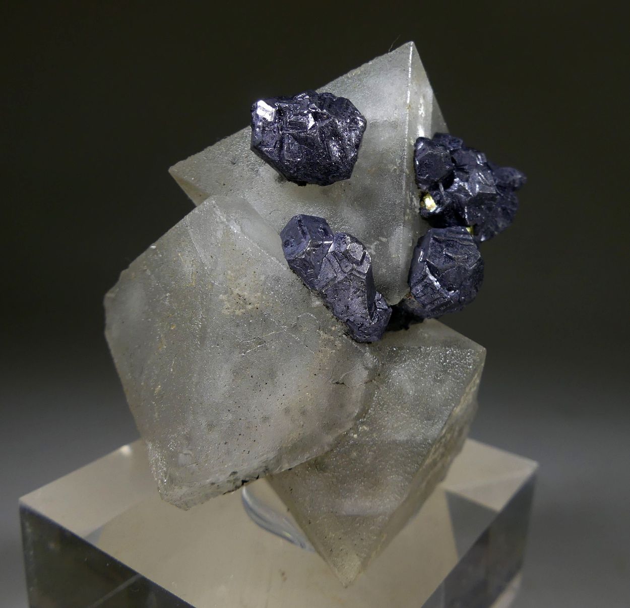 Fluorite & Galena