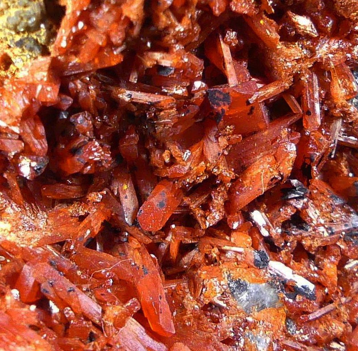Crocoite With Bindheimite