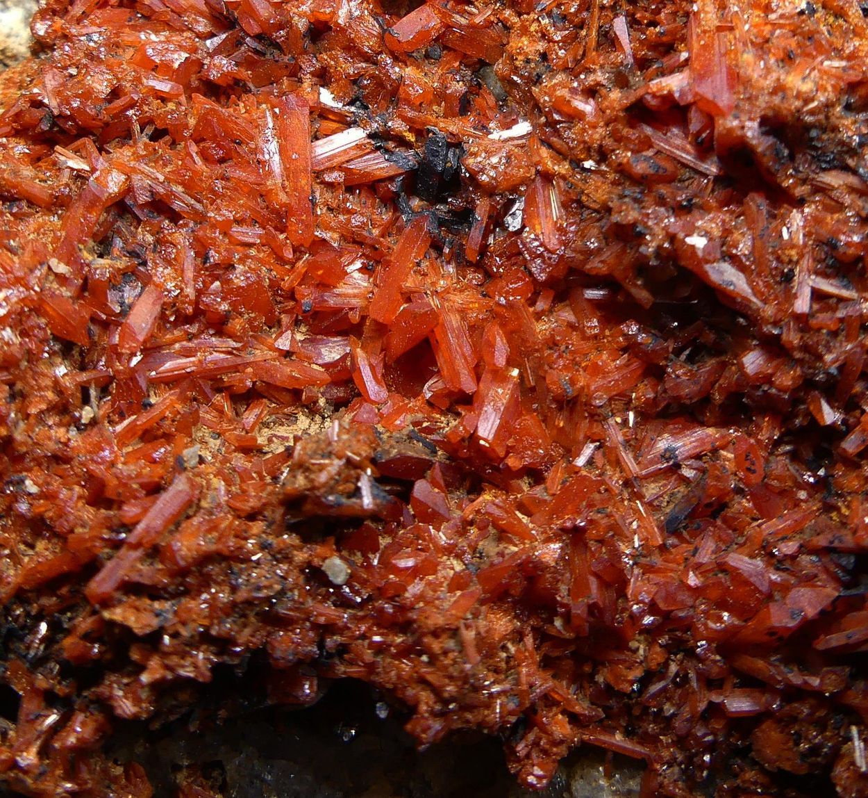 Crocoite With Bindheimite