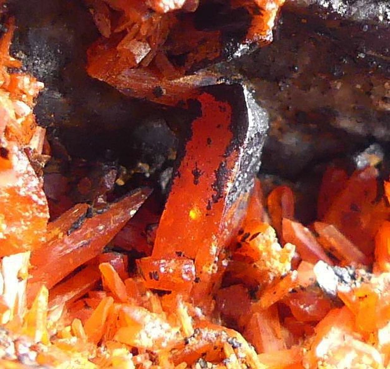 Crocoite With Bindheimite