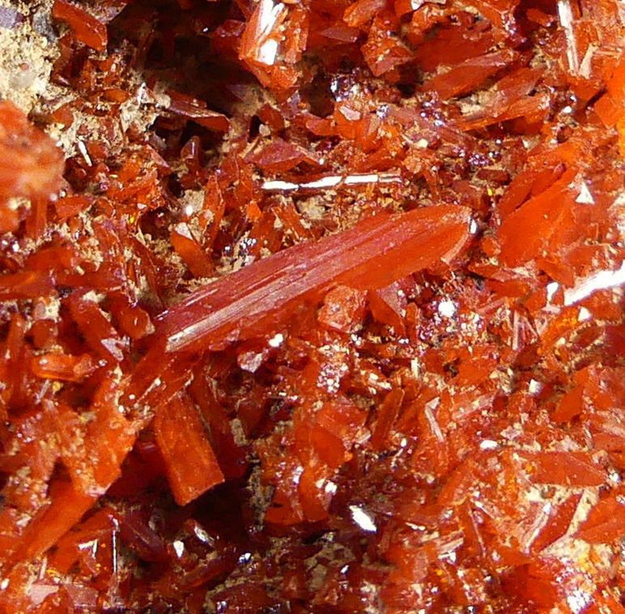 Crocoite With Bindheimite