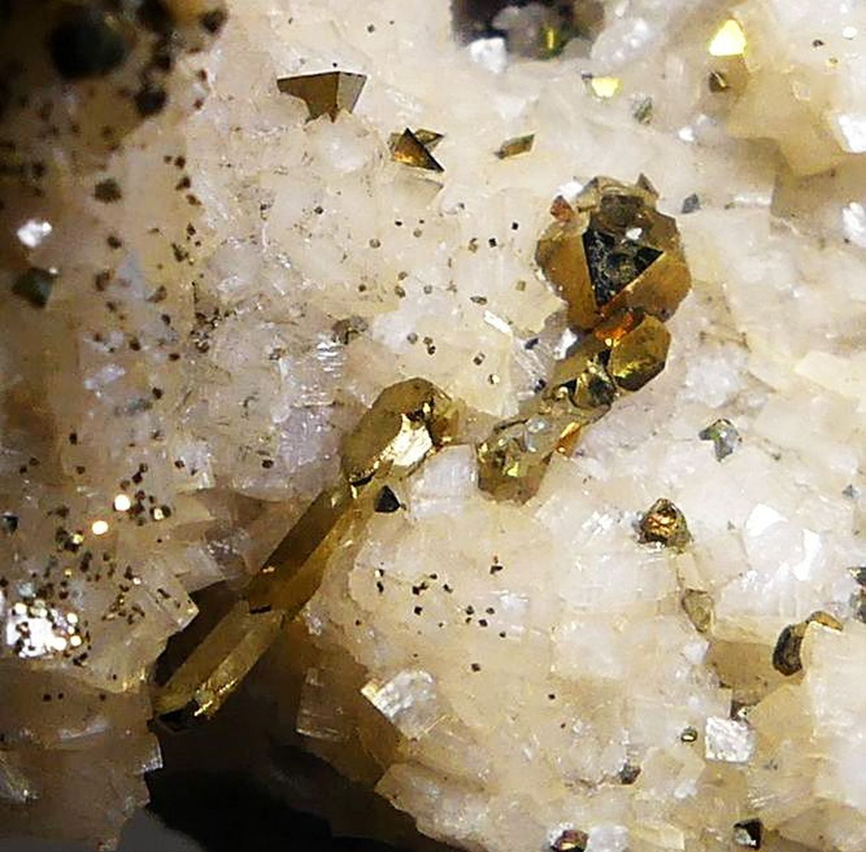 Pyrite Chalcopyrite & Sphalerite On Dolomite
