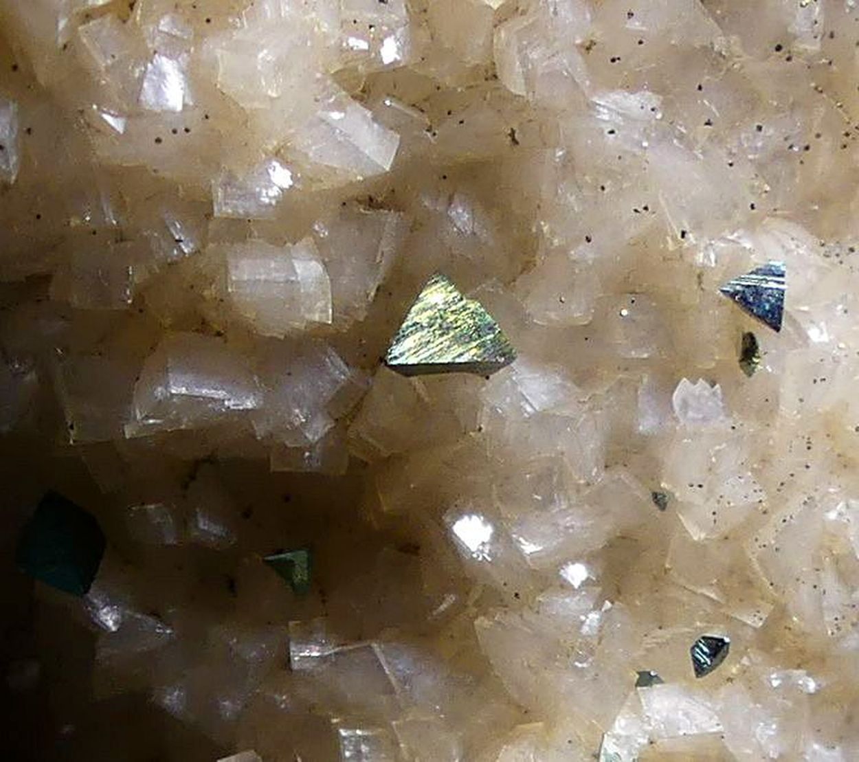 Pyrite Chalcopyrite & Sphalerite On Dolomite