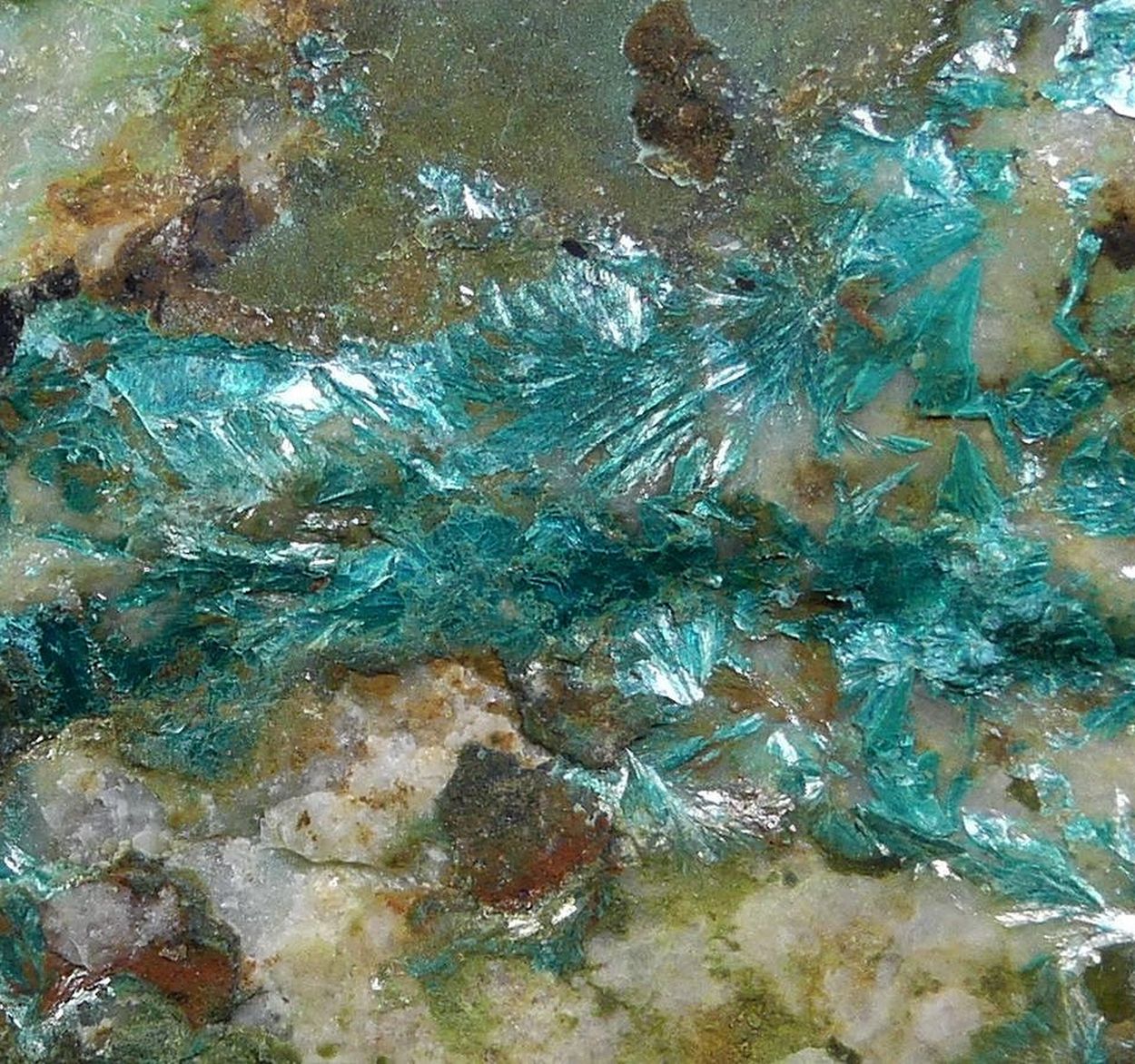 Tyrolite