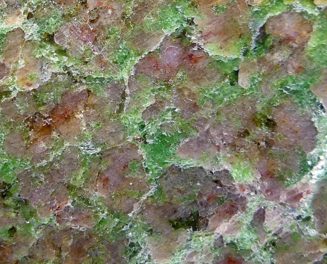 Pyrope In Chrome-Omphacite