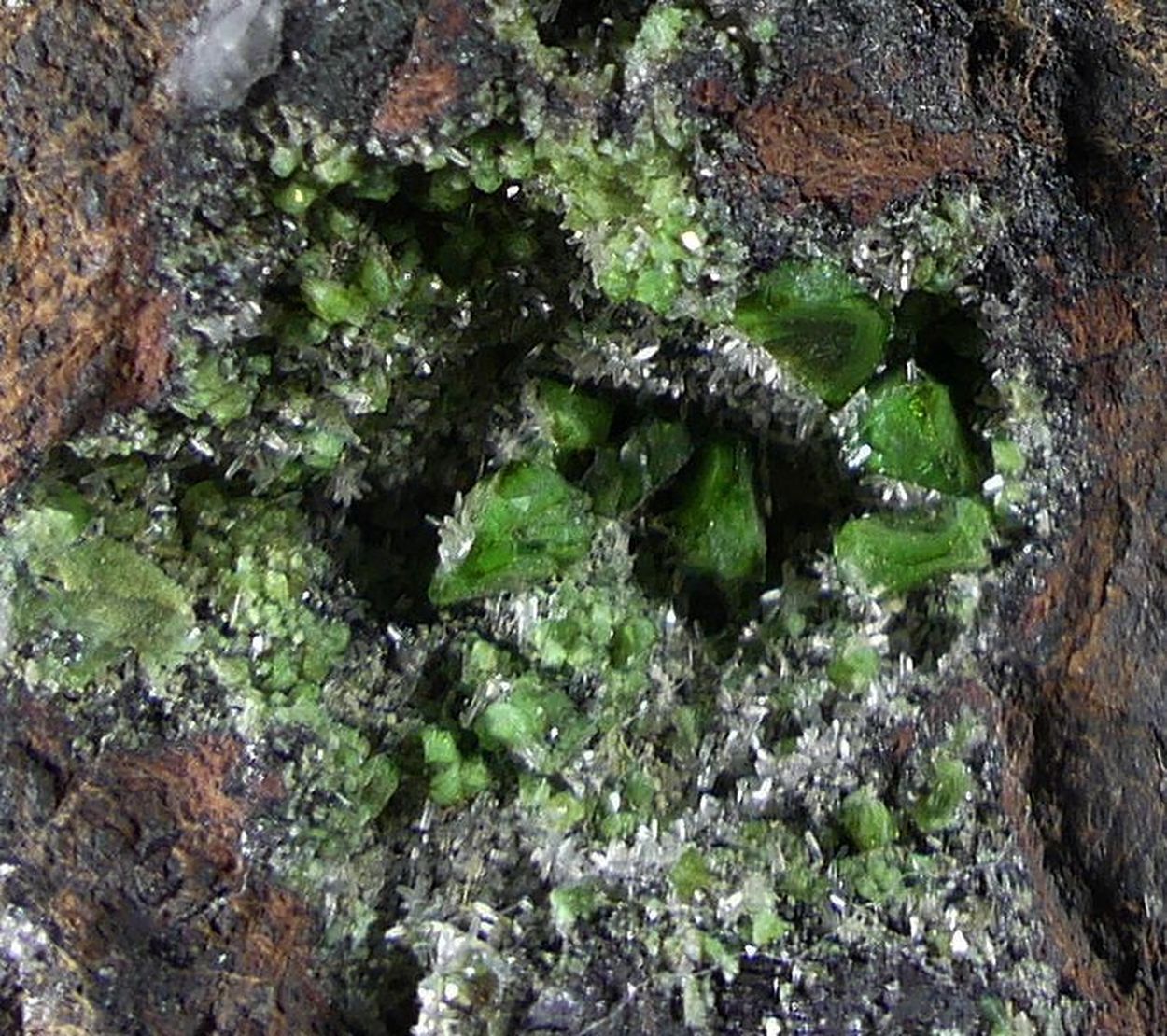 Cuprian Adamite
