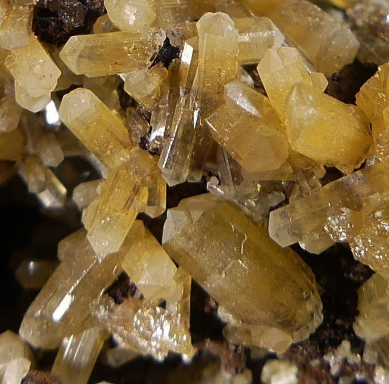 Mimetite