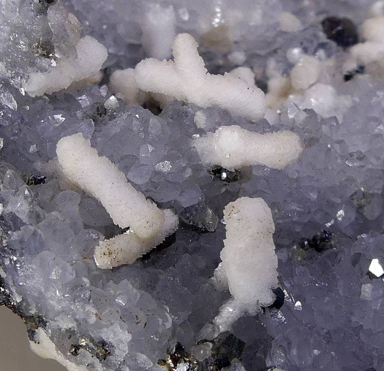 Manganoan Calcite With Sphalerite & Chalcopyrite On Quartz Psm Manganoan Calcite