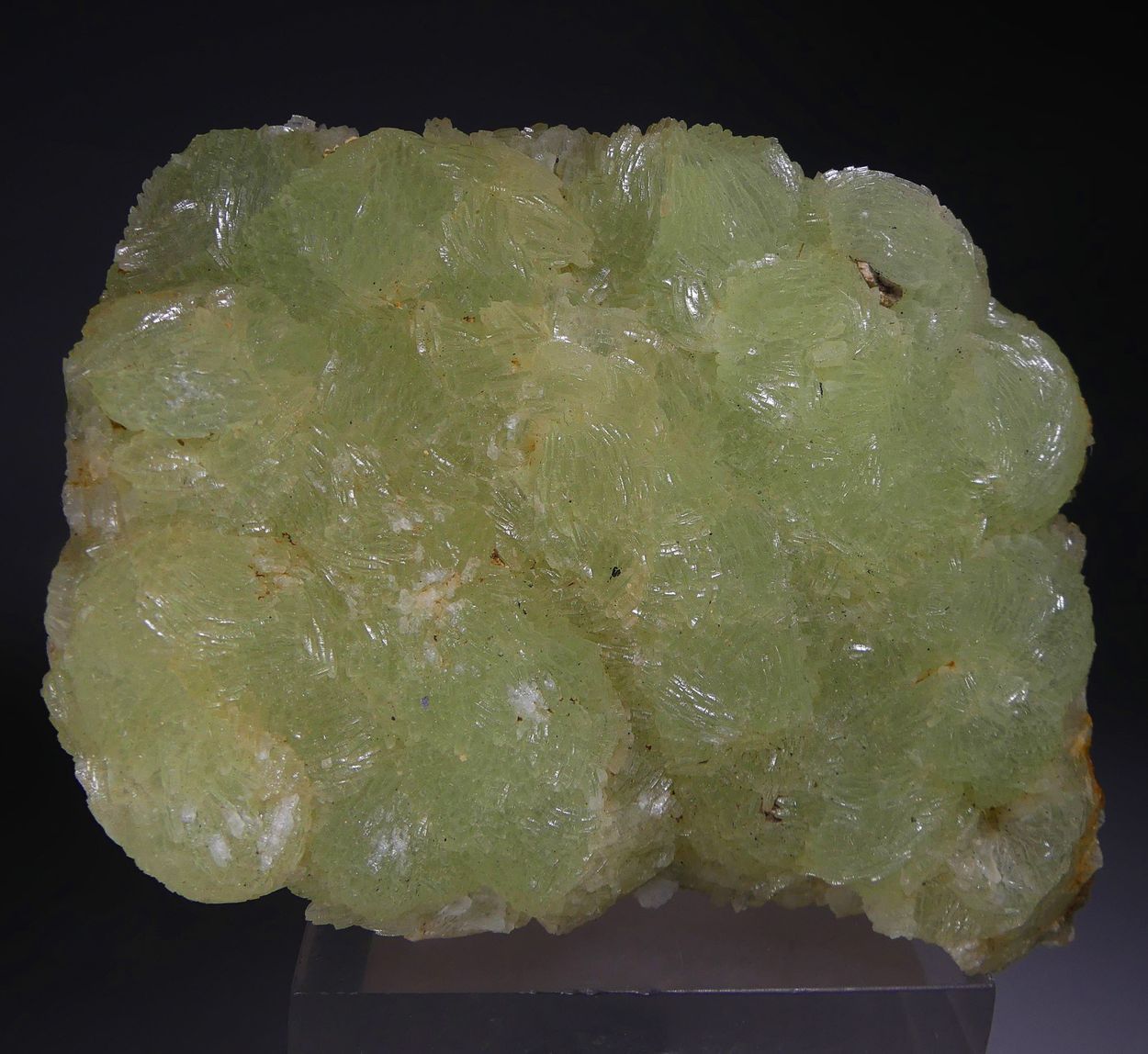 Prehnite