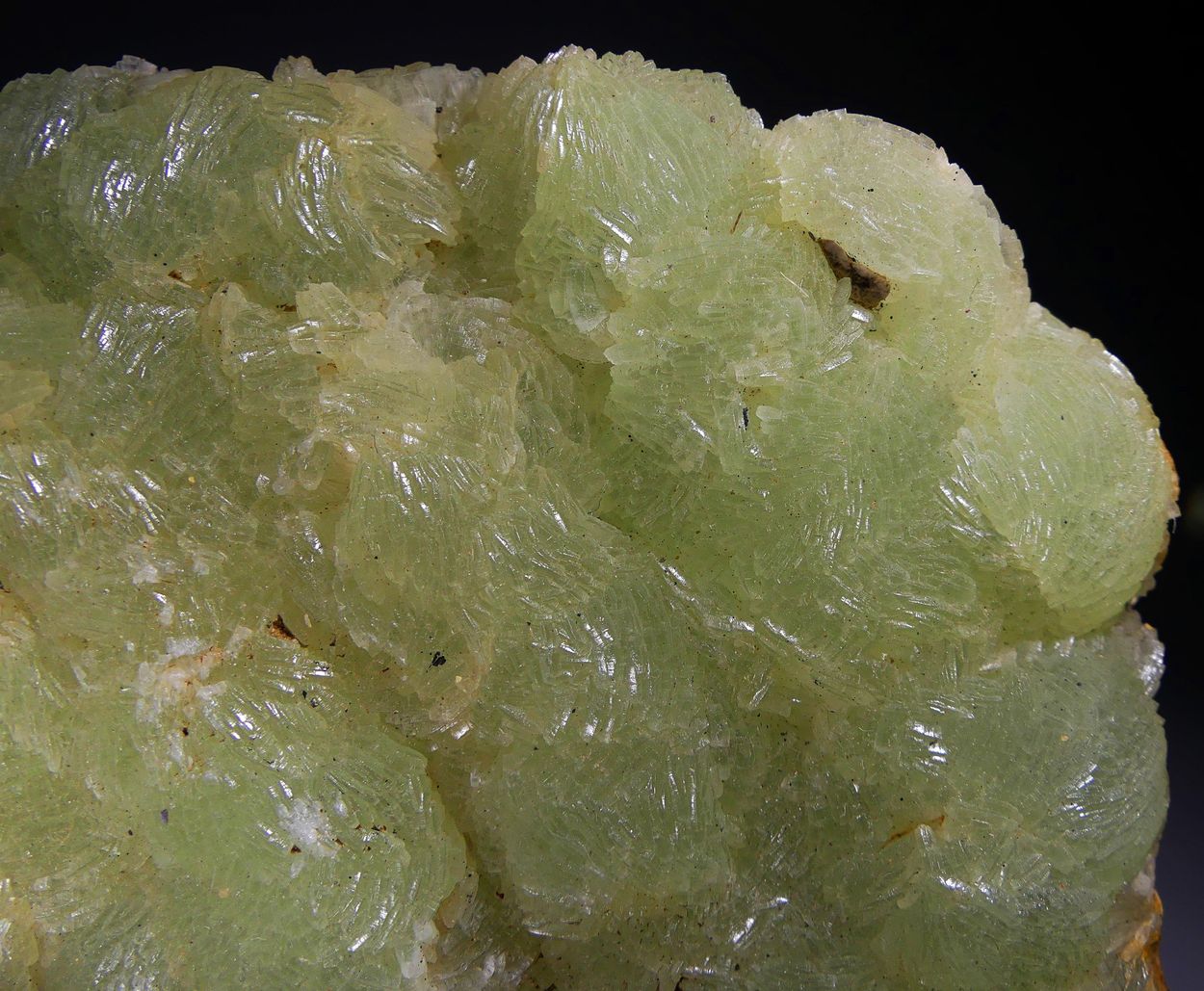Prehnite