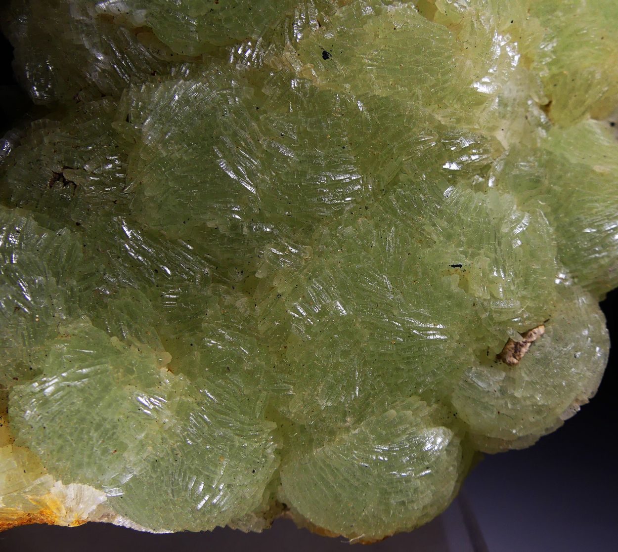 Prehnite