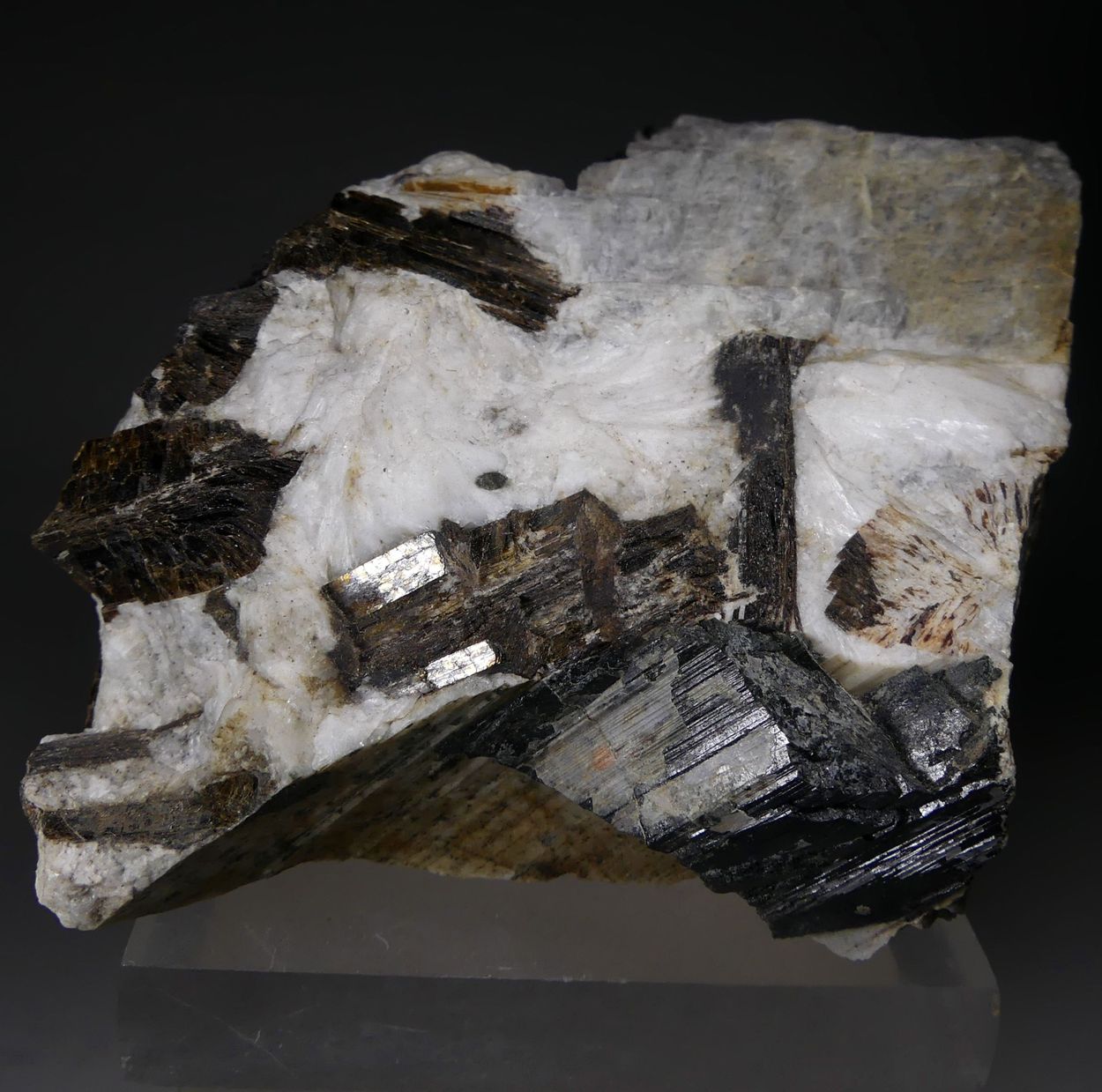 Astrophyllite & Aegirine