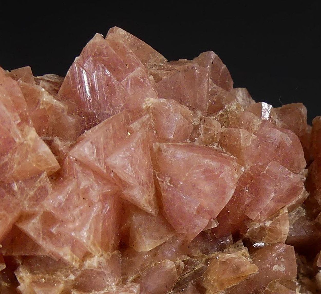 Cobaltoan Smithsonite