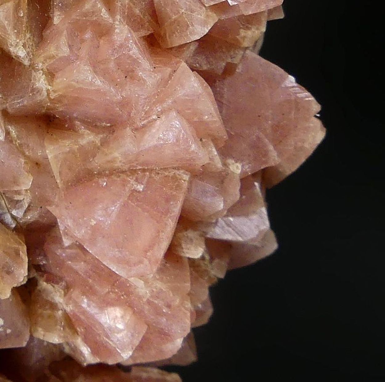 Cobaltoan Smithsonite