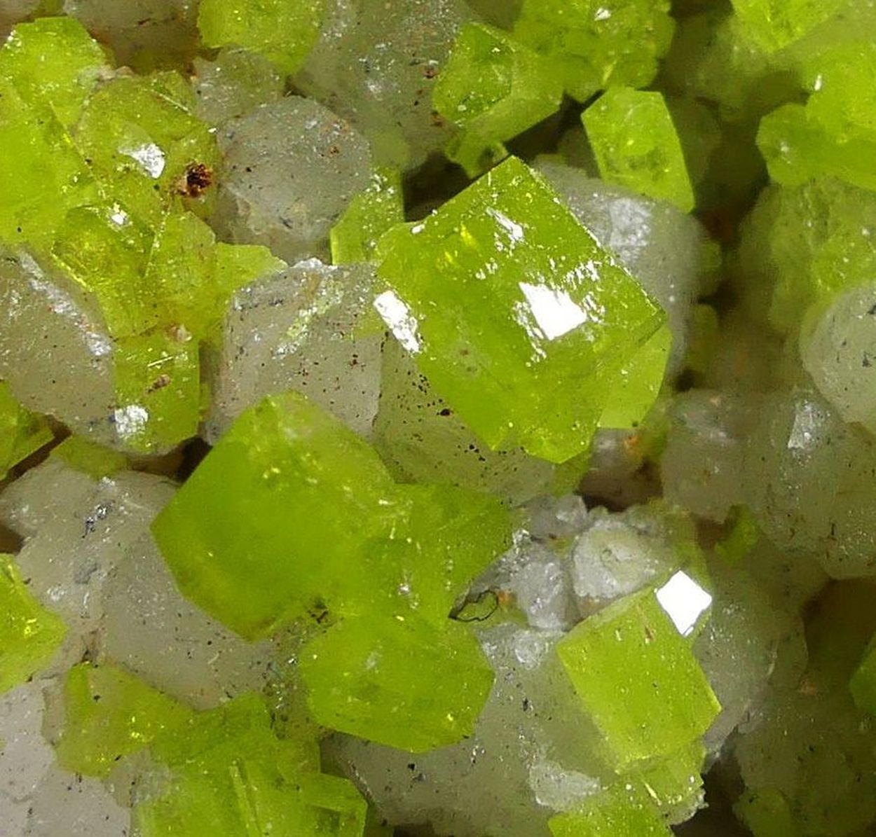 Pyromorphite On Quartz