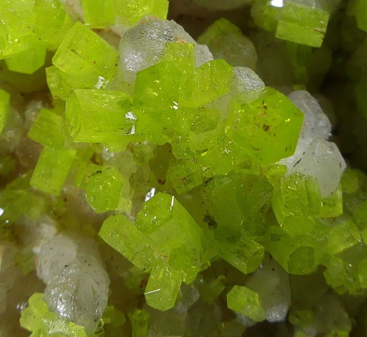 Pyromorphite On Quartz