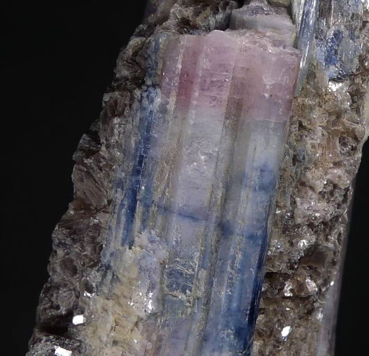 Tourmaline Var Cuprian Elbaite With Muscovite