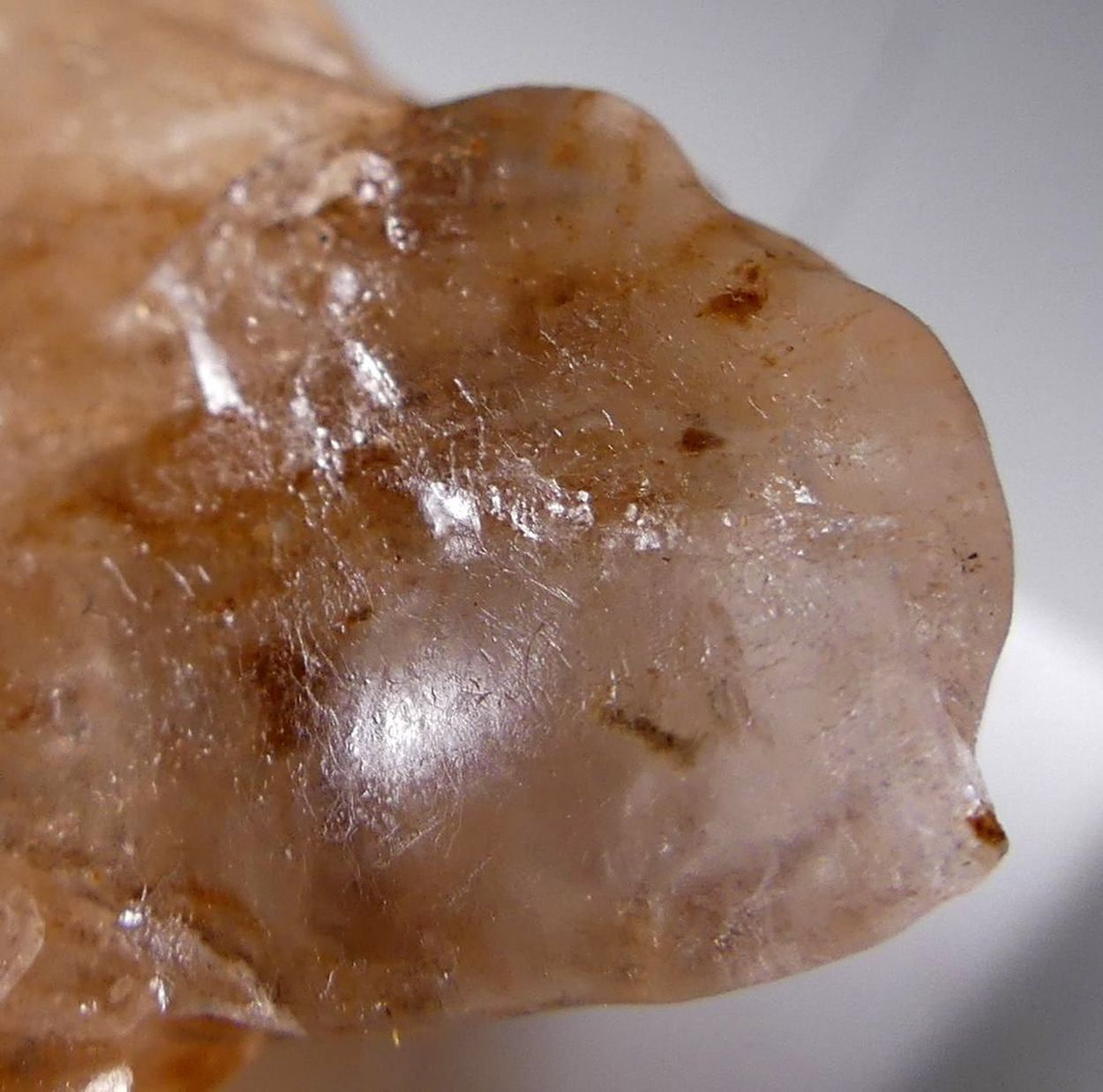 Braitschite-(Ce) In Halite