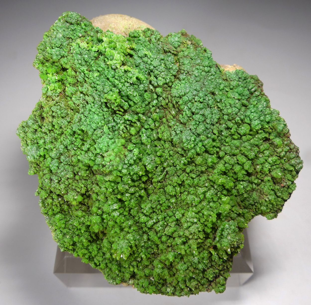 Pyromorphite