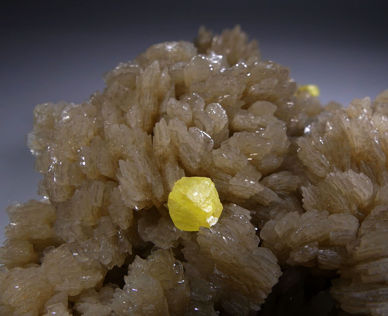 Native Sulphur On Baryte