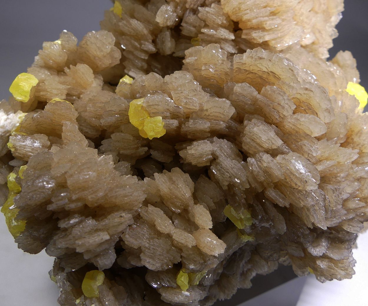 Native Sulphur On Baryte