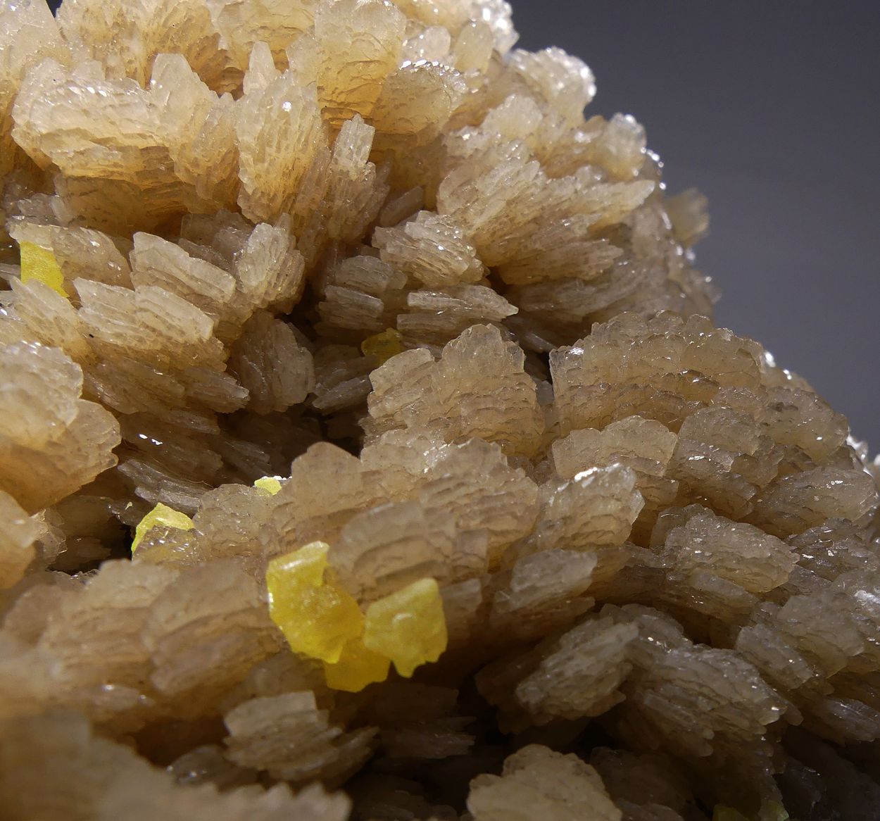 Native Sulphur On Baryte