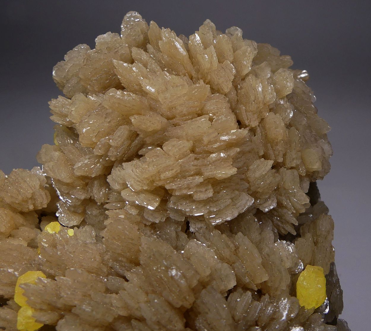 Native Sulphur On Baryte