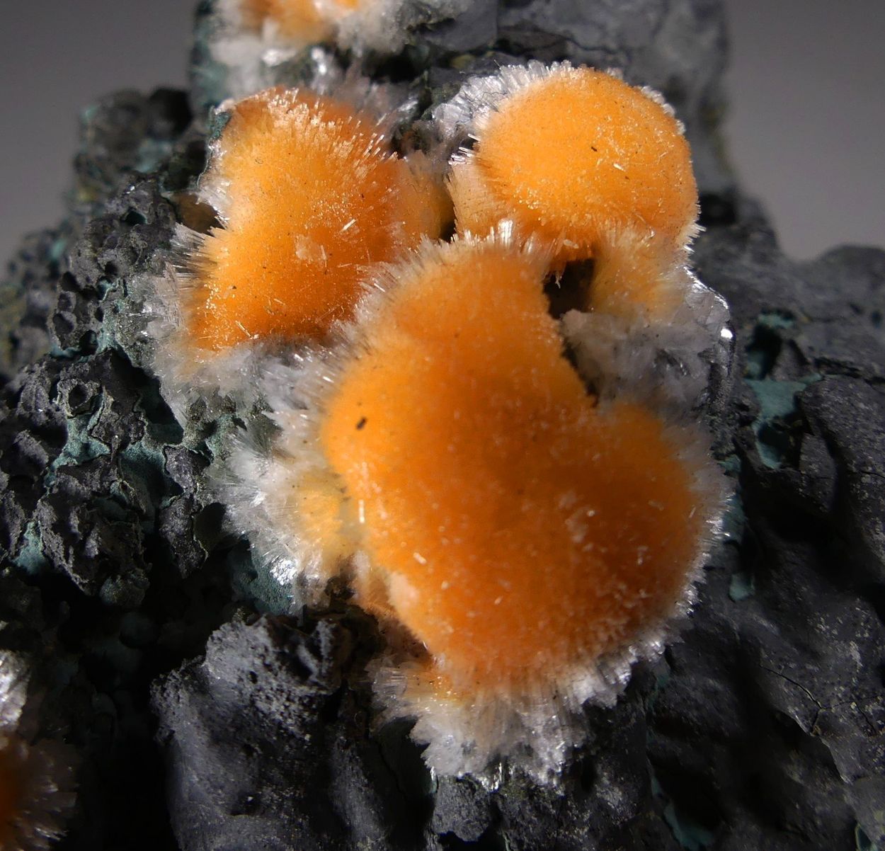 Thomsonite-Ca With Mesolite