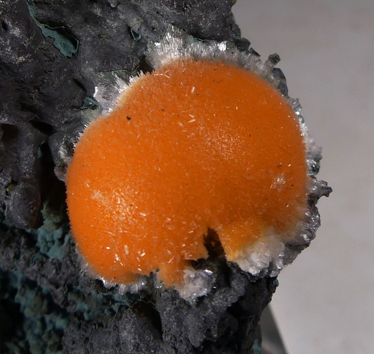 Thomsonite-Ca With Mesolite