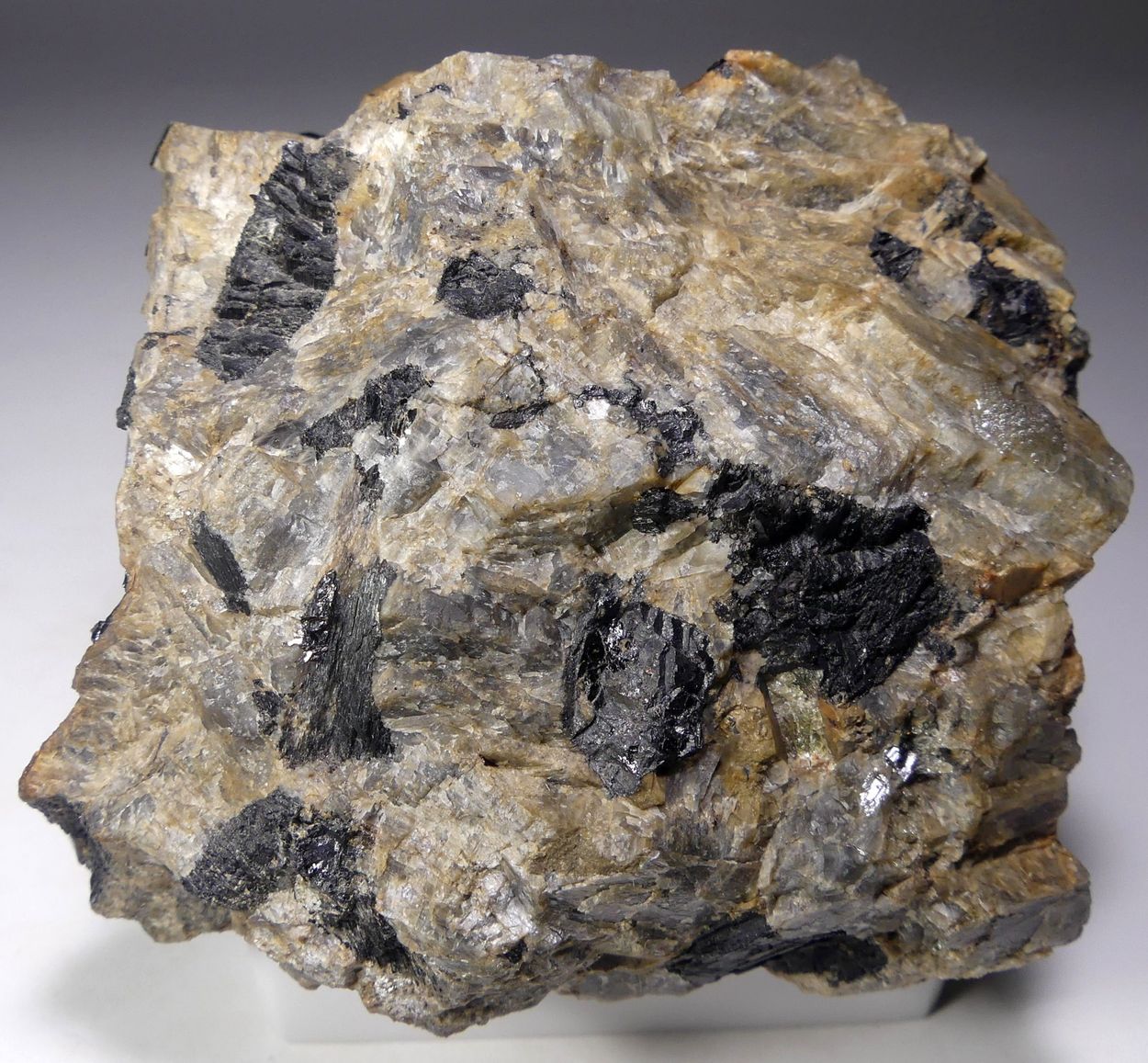 Zirconolite Var Polymignite