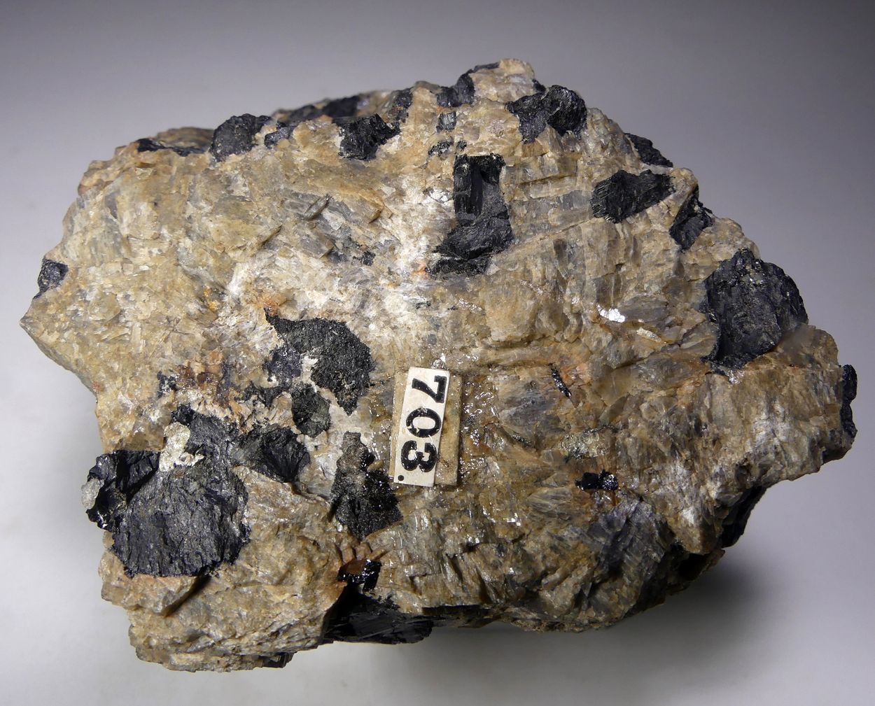 Zirconolite Var Polymignite