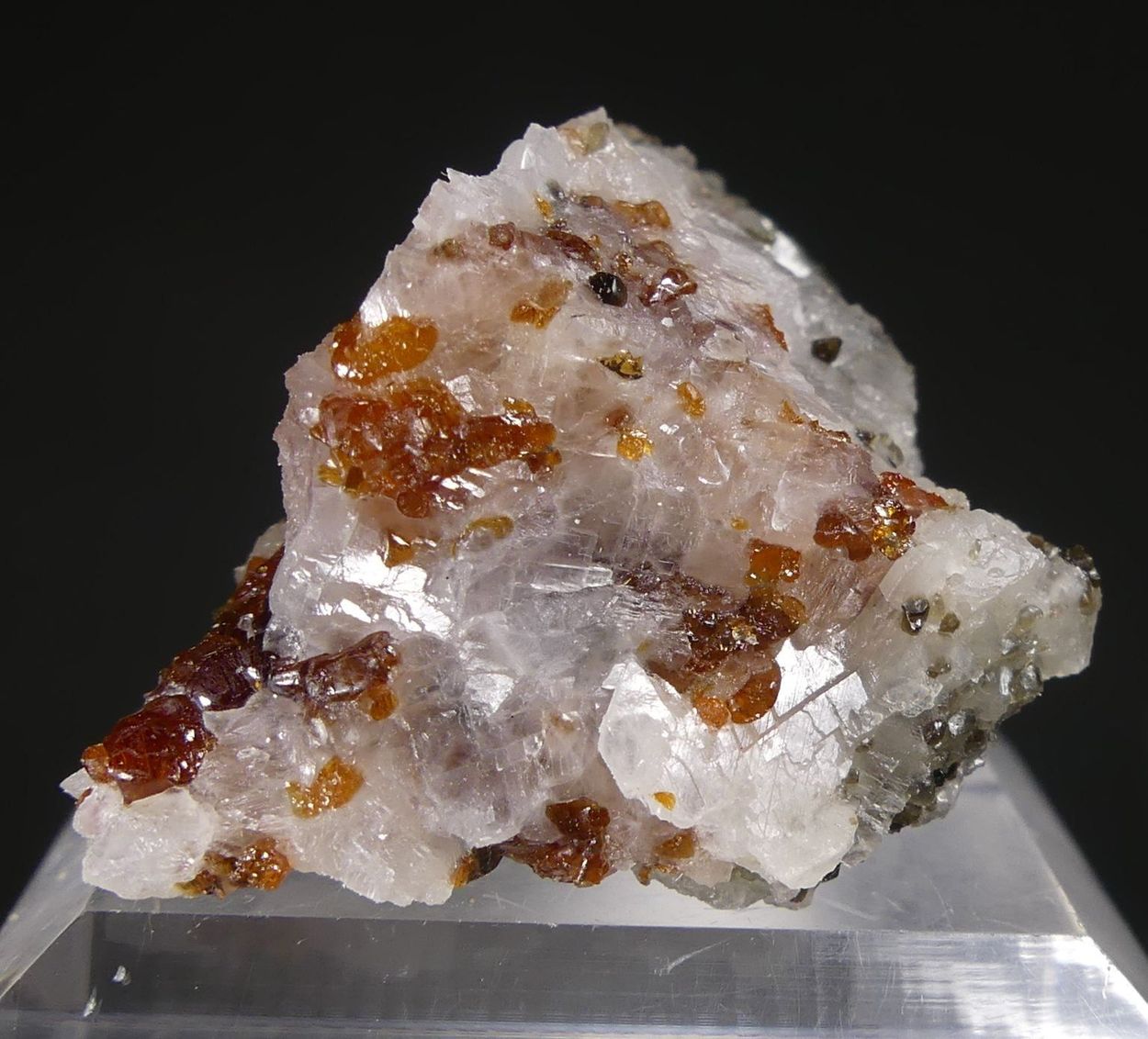 Chondrodite With Spinel & Diopside