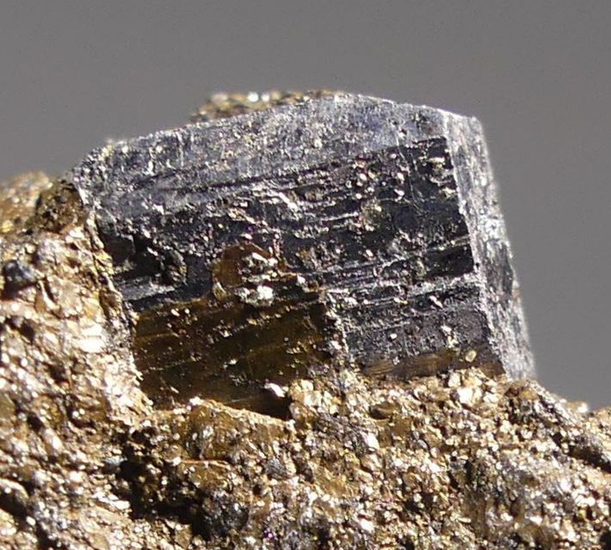 Cobaltite On Pyrrhotite