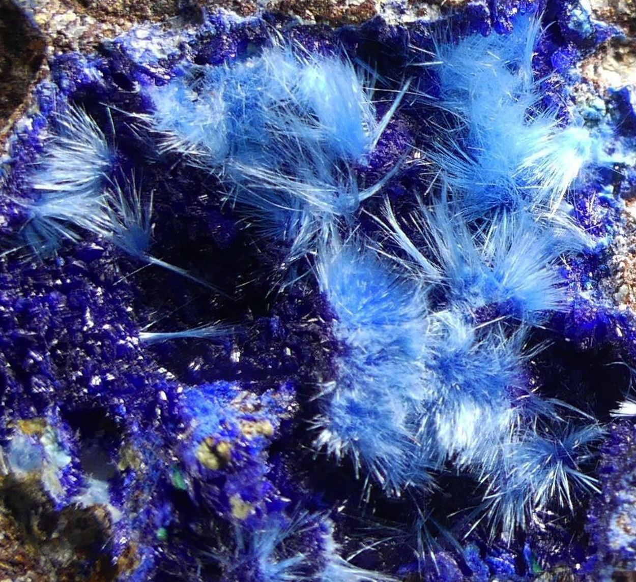 Cyanotrichite On Langite