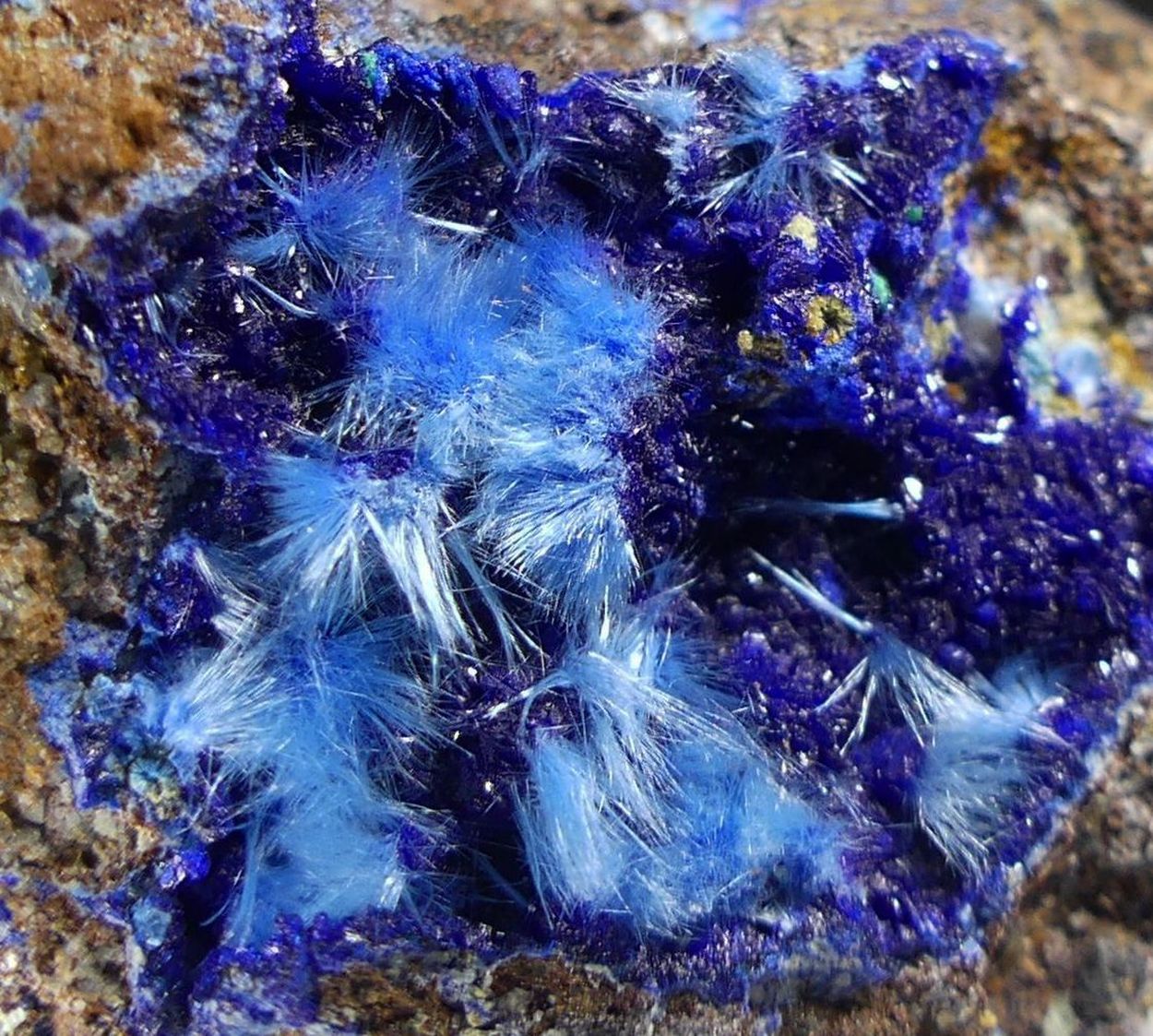 Cyanotrichite On Langite