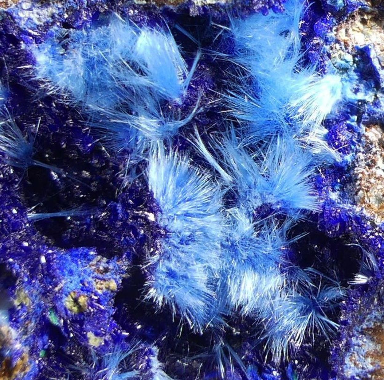 Cyanotrichite On Langite