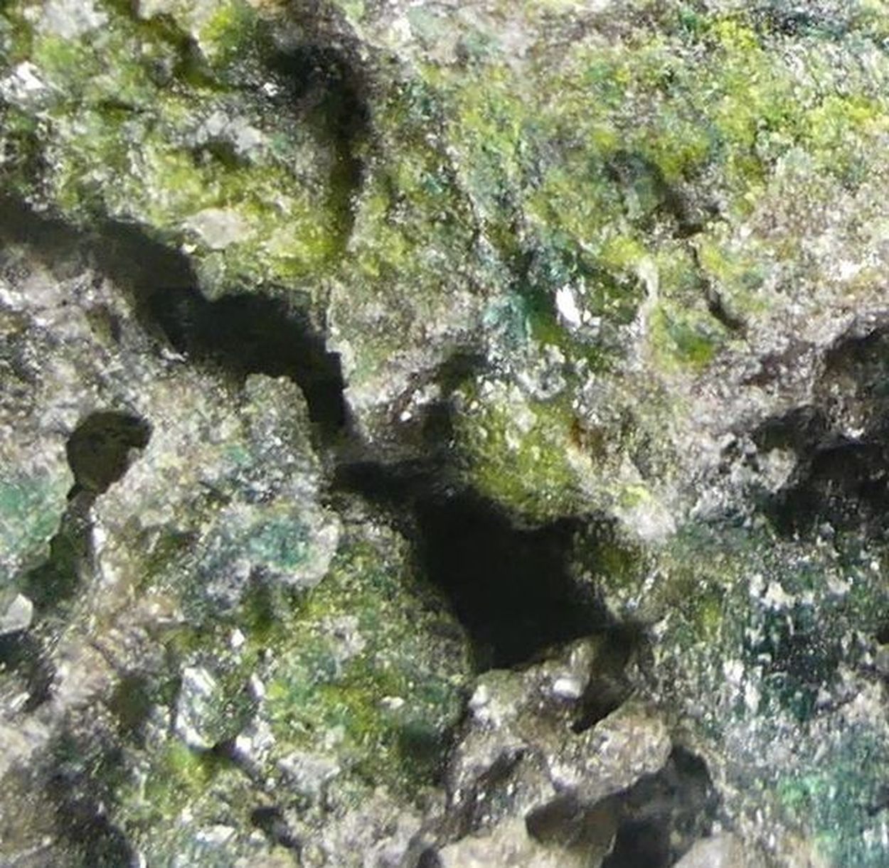 Sulvanite With Volborthite
