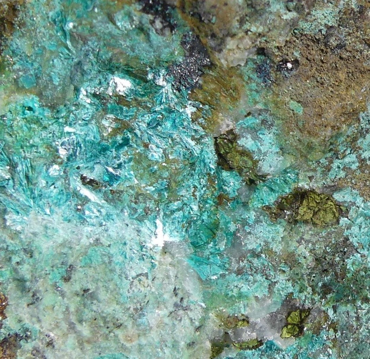 Tyrolite Cuproroméite & Baryte