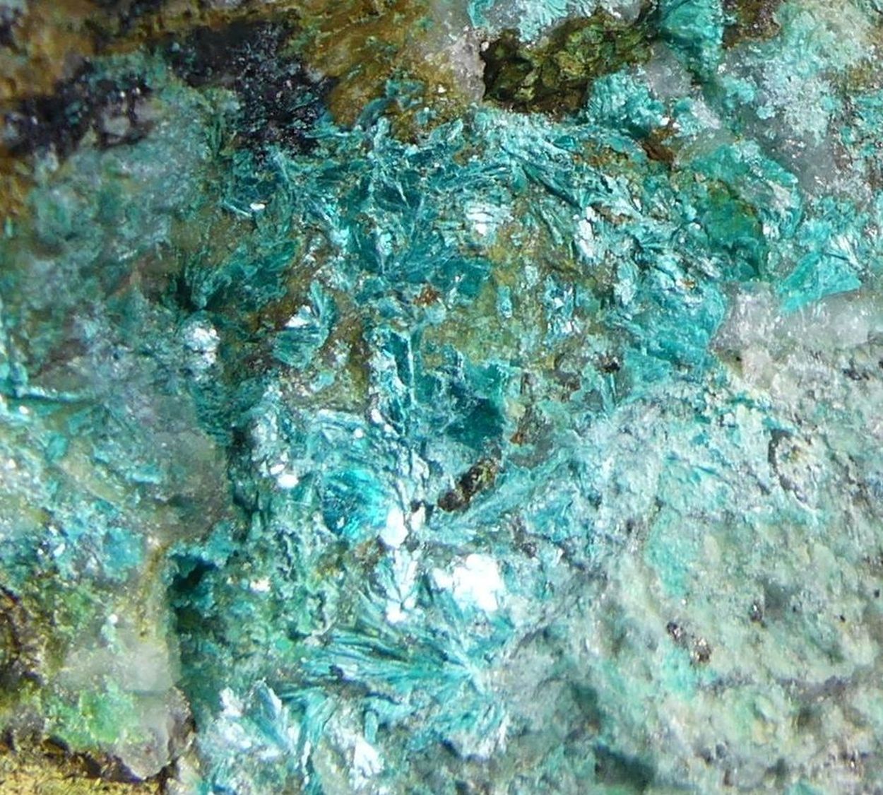 Tyrolite Cuproroméite & Baryte