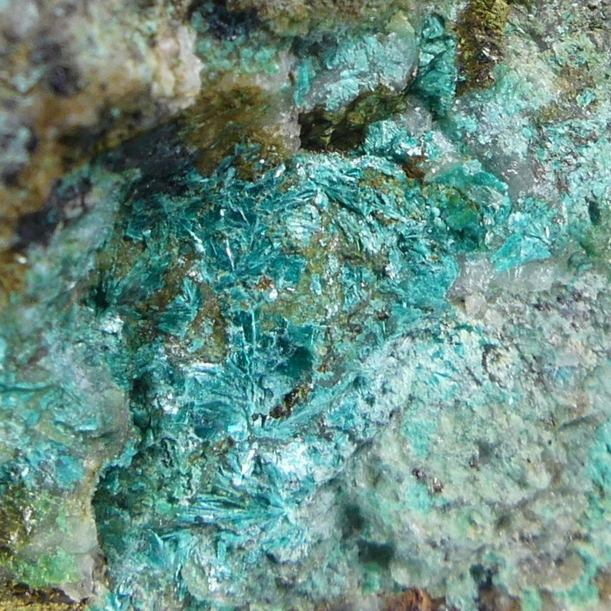 Tyrolite Cuproroméite & Baryte