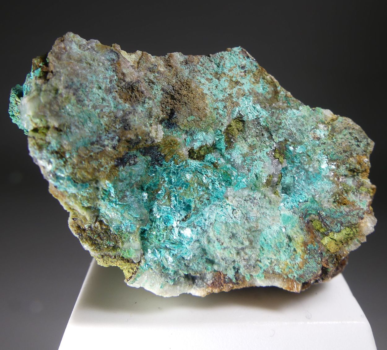 Tyrolite Cuproroméite & Baryte