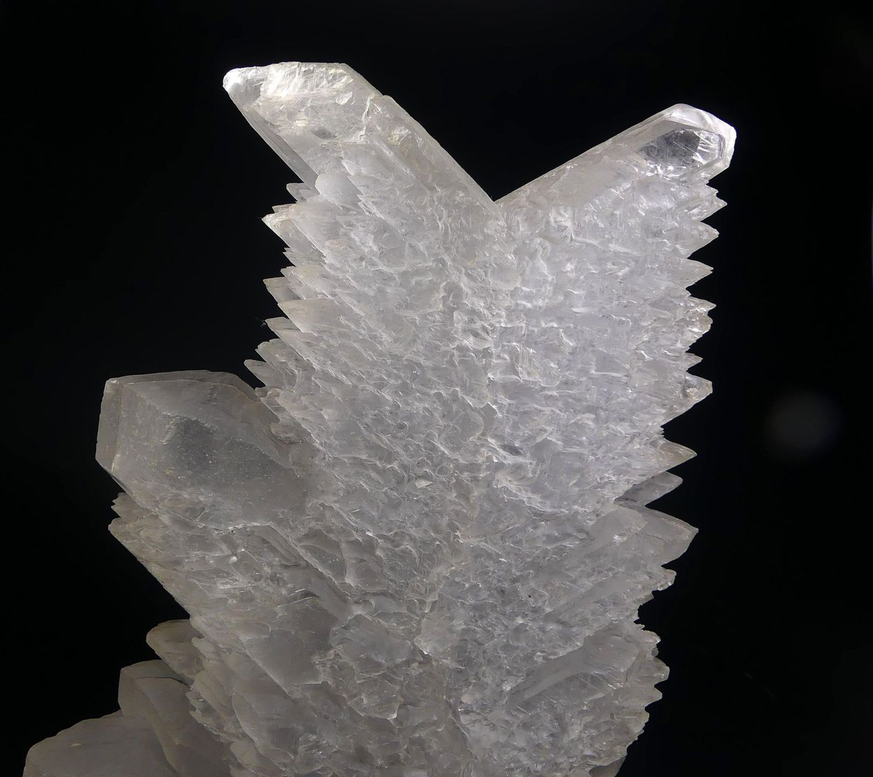 Selenite