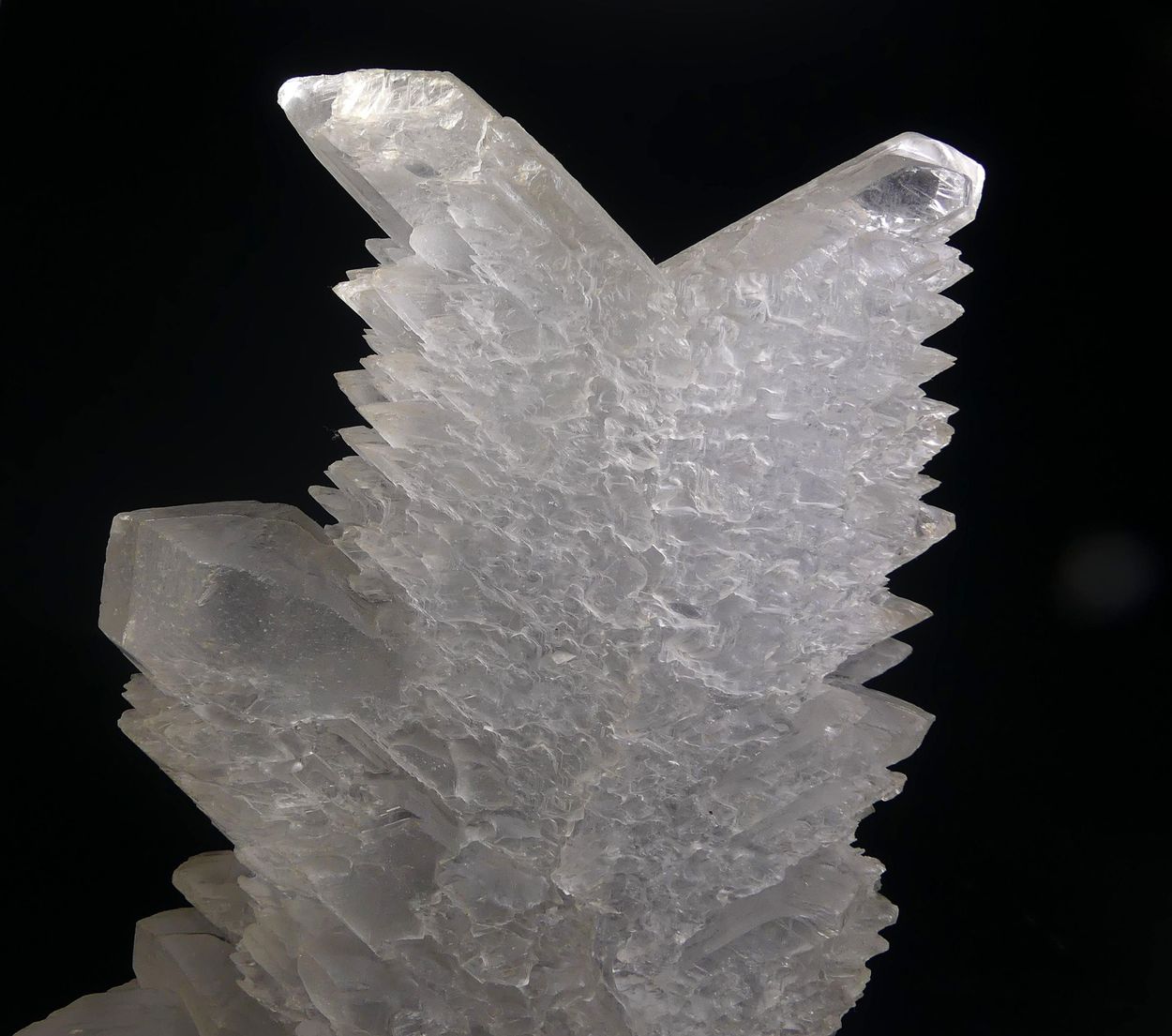 Selenite
